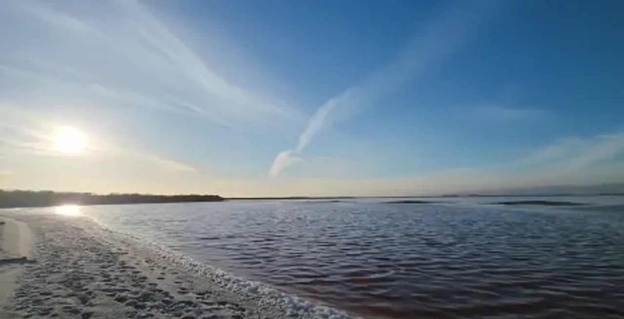 img of مراجعة Alviso Marina County Park | ملاذ طبيعي في وادي السيليكون